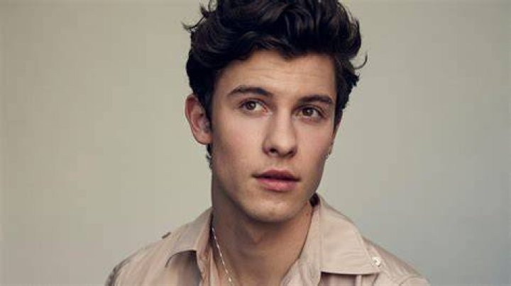 Shawn Mendes from USA | Popnable