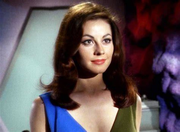 sherry jackson career sherry jackson career