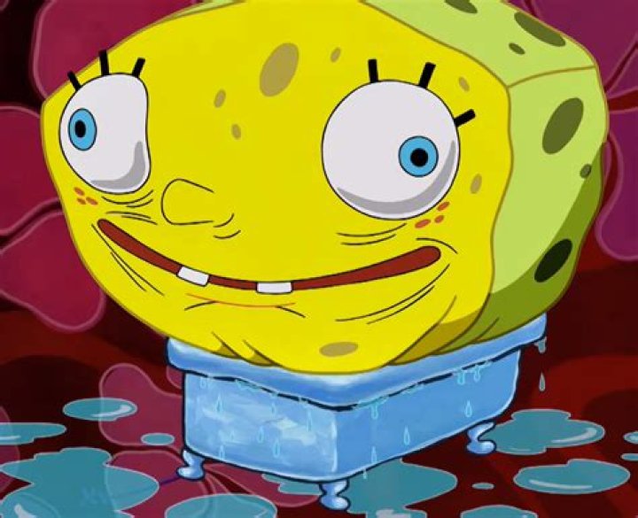 Spongebob seems to agree.