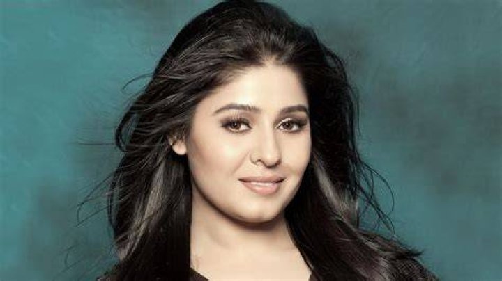 Sunidhi Chauhan Net Worth