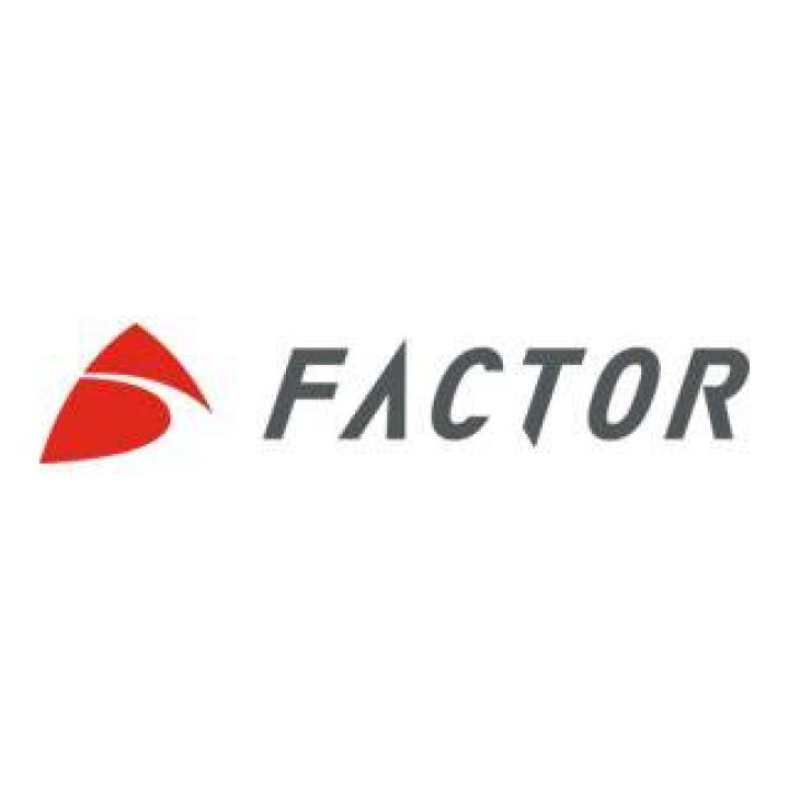 The Logo Factor The Logo Factor