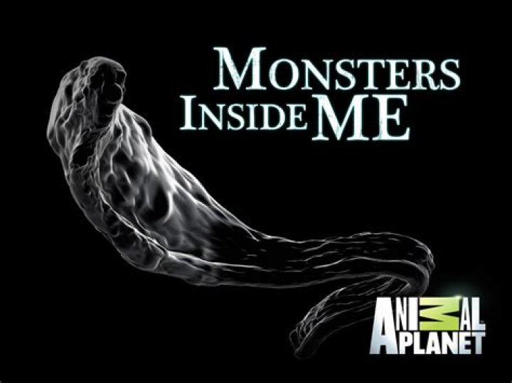 The Monster Inside - Numb ★ No Copyright Free Post-Hardcore Metal Music - metal song no copyright