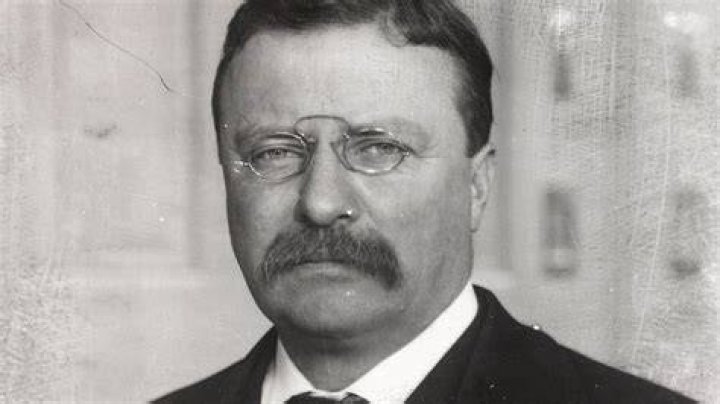 Theodore Roosevelt contributions Theodore Roosevelt contributions