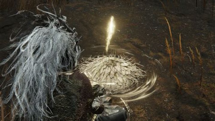 This 'Elden Ring' Player Is Beating the Game With Her Mind