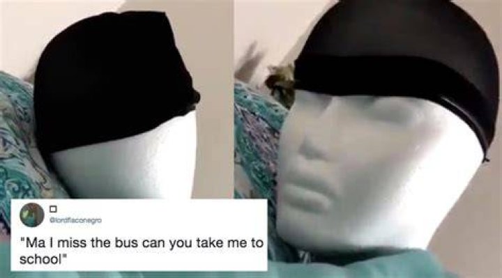 This Mannequin Meme Is Both Completely Relatable And Completely Horrifying