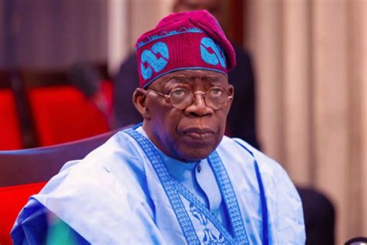 Tinubu's minister heavily criticised over hike in electricity bills