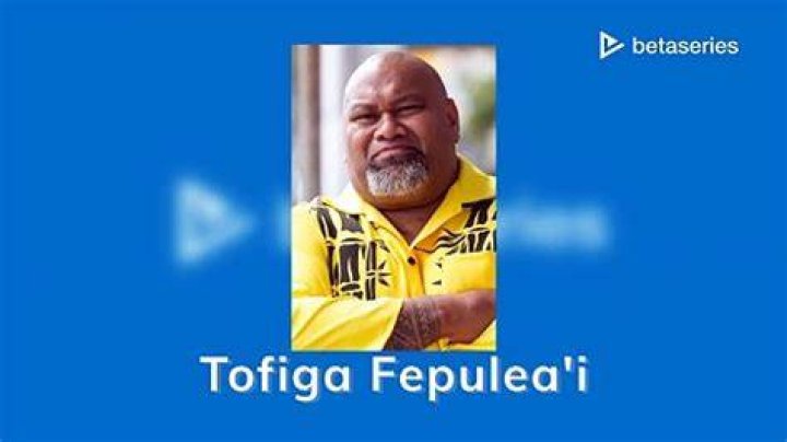 Tofiga Fepulea'i Net Worth
