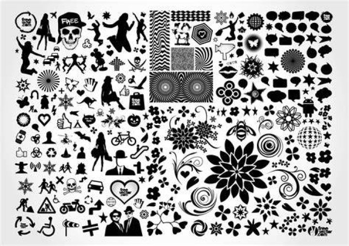 Vector