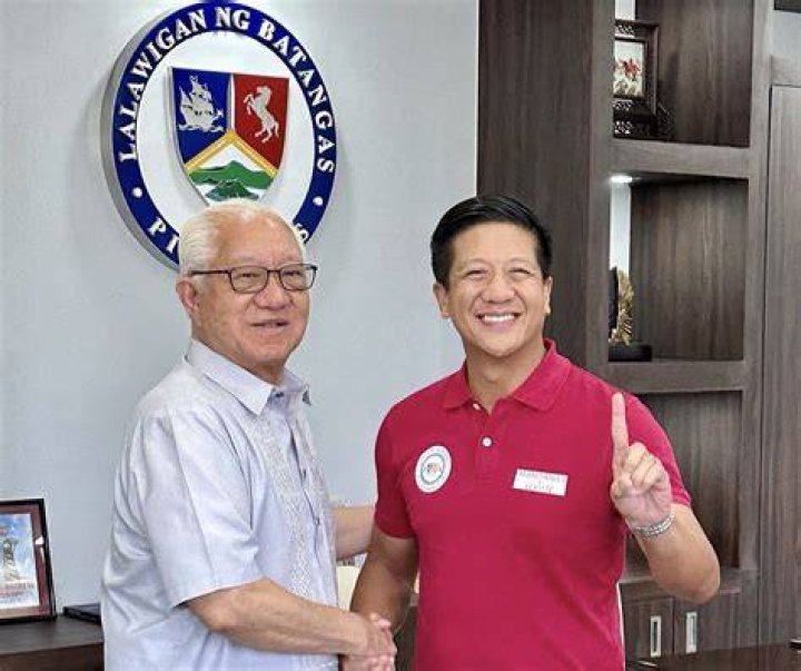 What Did Batangas Vice Governor Do?
