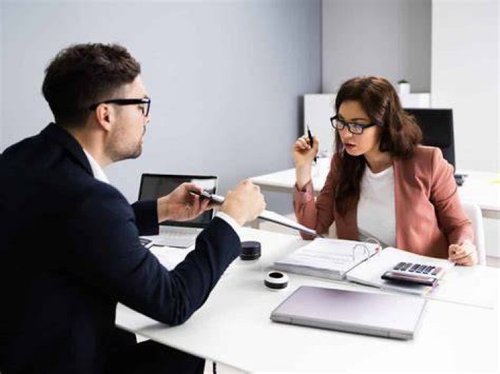 Who is an auditor and what are their skills