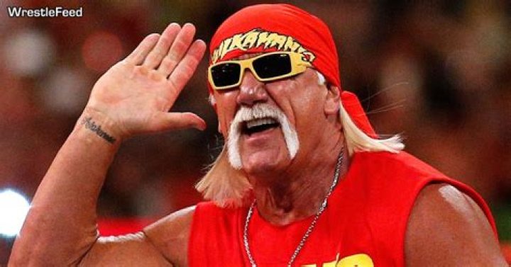 WWE Fires Hulk Hogan, Removes His Name From Website WWE Fires Hulk Hogan, Removes His Name From Website